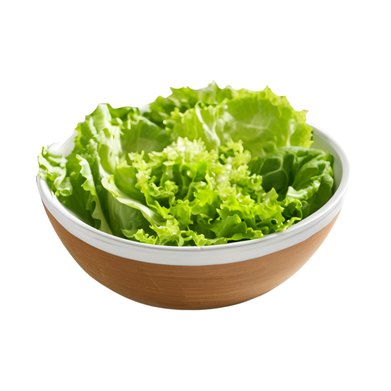 Salade verte